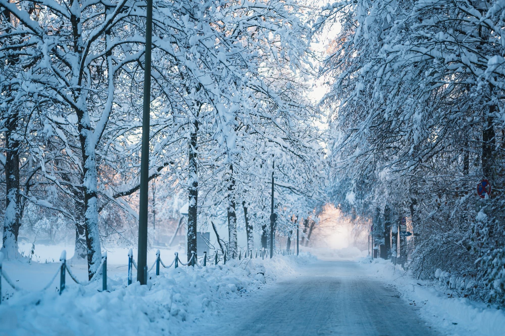 Verschneite Allee im Winterwald